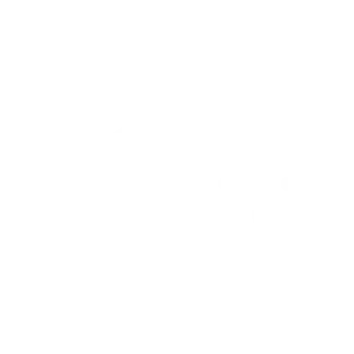 Emergency Services